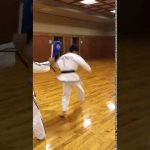 後ろ回し蹴り(2連続)